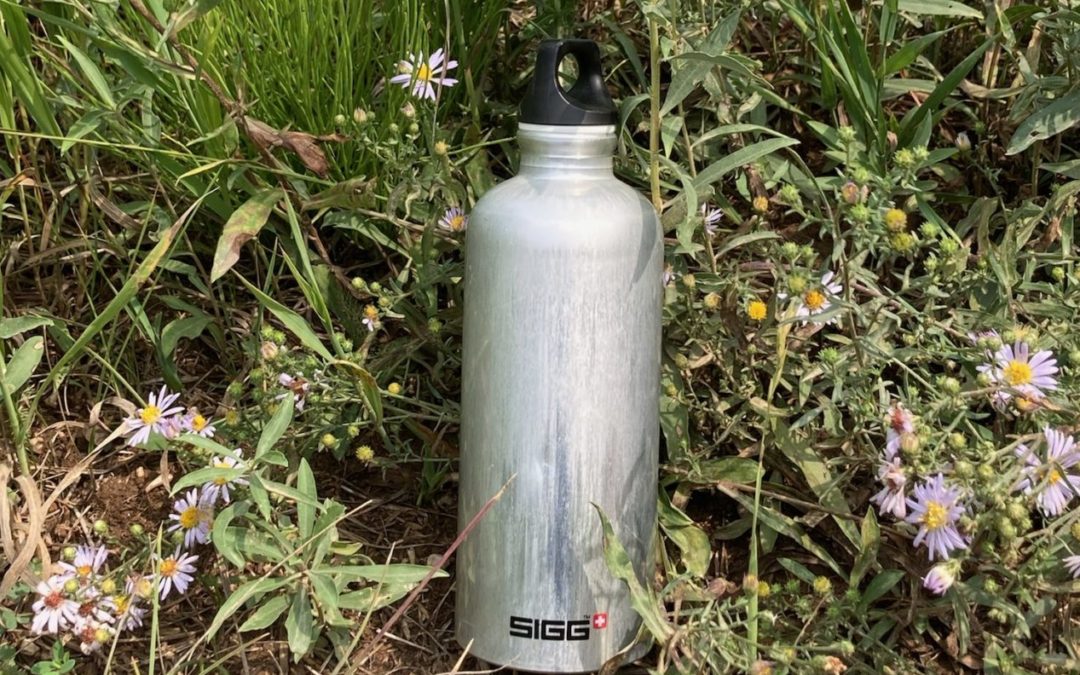 Sigg Traveler Water Bottle Review